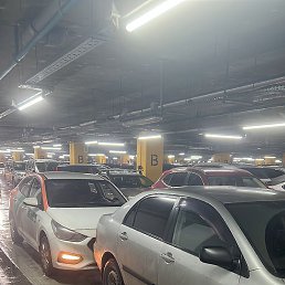 �����, ������, 25 ���