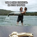 ���� ���������, ���������, 44 ���� - ��������� 10 ����� 2025 � ������ ���� ����������