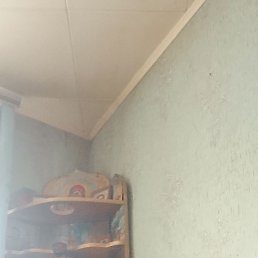 , 49, 
