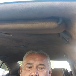 , 44, 