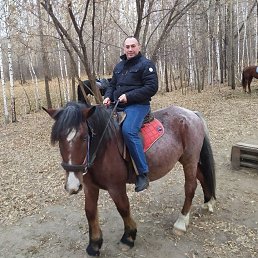 �������, 49 ���, �����������