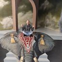  , , 43  -  15  2025    (, , )