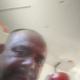 , 37, 