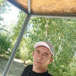, 41, 