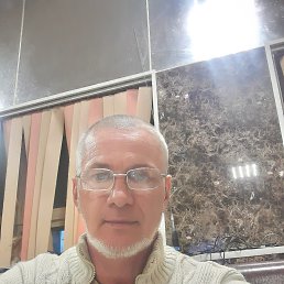 , 52, 