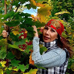 Фото /_Осенний Поцелуй_/, Алматы /_Осенний Поцелуй_/, Алматы