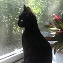 ���� ���������, ���� - ��������� 12 ������ 2025 � ������ ������ ��������