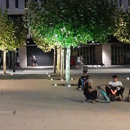 �������, ���������, 44 ����