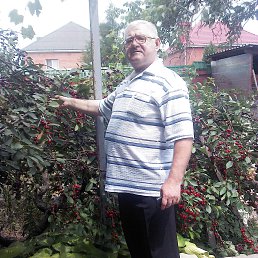 , 65, --