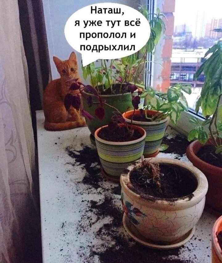  - 27  2025  12:07