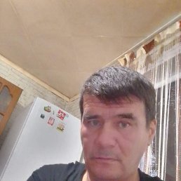 , 54, 