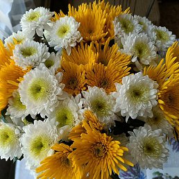 �., ���������