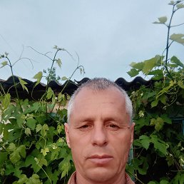 ����, 45 ���, ���������