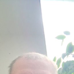 , 53 , 
