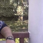 ����, 64 ����, ���������