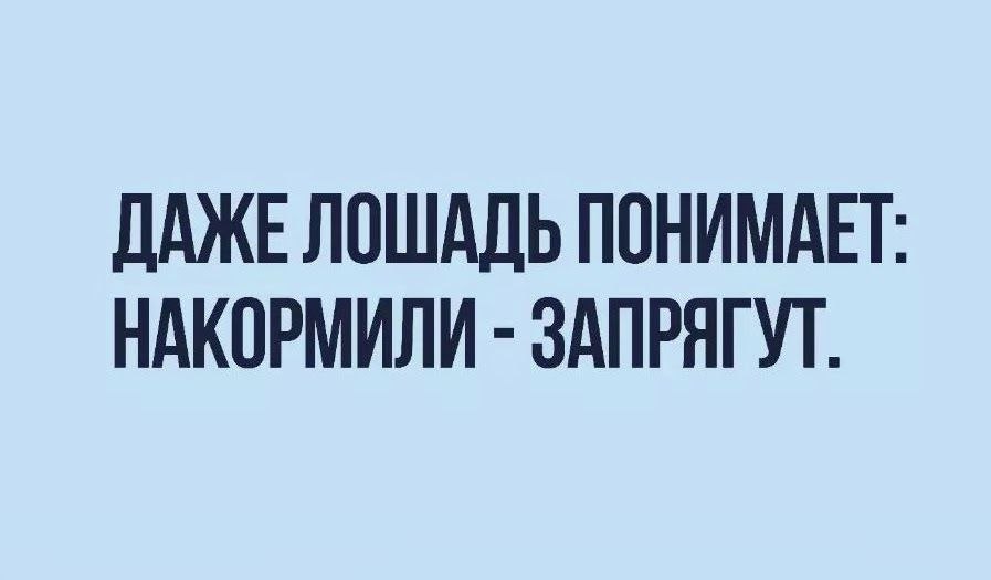 ��� ���� - 19 ����� 2026 � 13:26