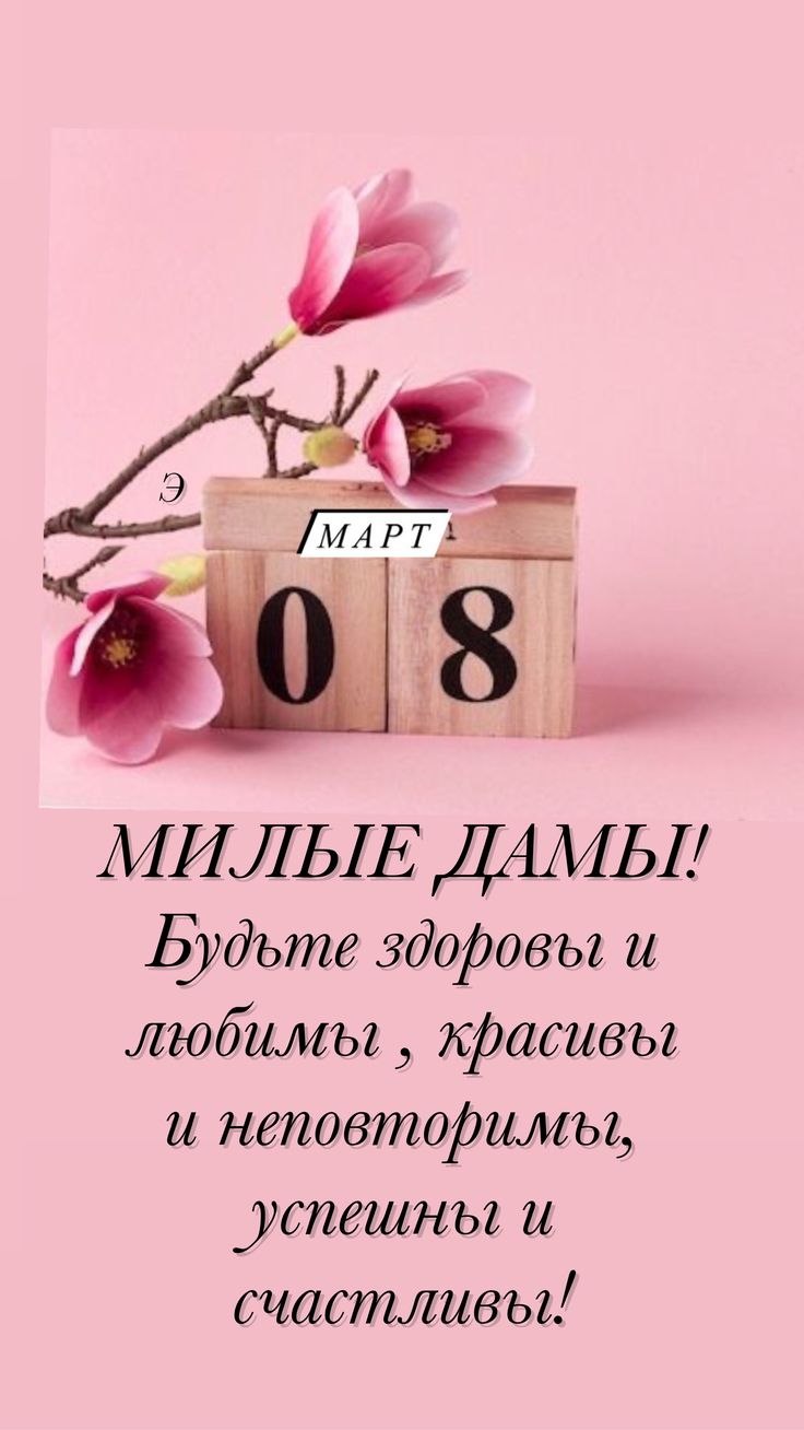 ��������� ���� - 8 ����� 2026 � 10:03