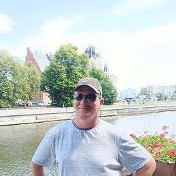 �������, ������, 46 ���