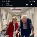 ���� ��������, �����-��������� - ��������� 1 ������ 2026 � ������ ���� ����������