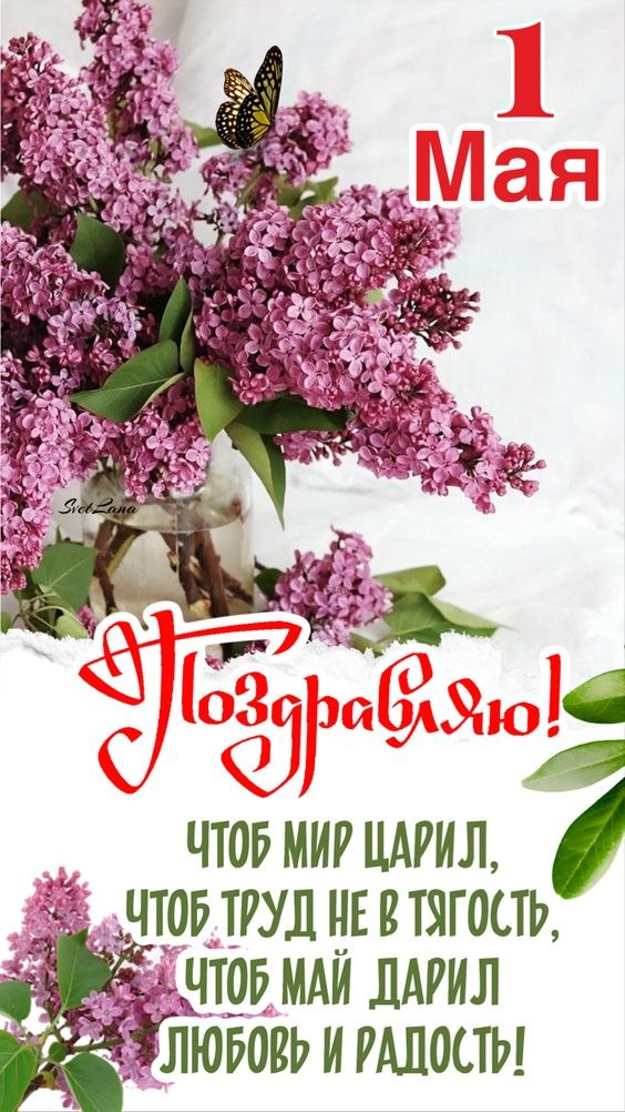 ₪╬═►  ||  ||  ◄═╬₪ - 1  2024  06:12