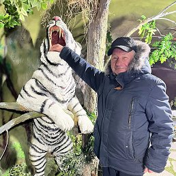 ����, ����-���������, 66 ���