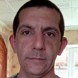 �����, �������, 40 ���