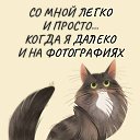 ���� ��������, �����������, 56 ��� - ��������� 13 ������ 2026 � ������ ���� ����������