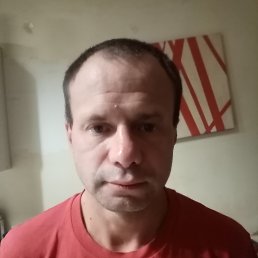 , 41 , -