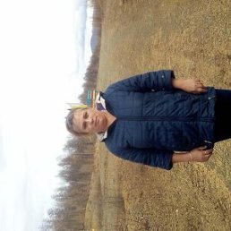 �������, 41 ���, ������