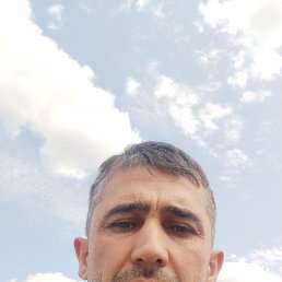 , 31, 