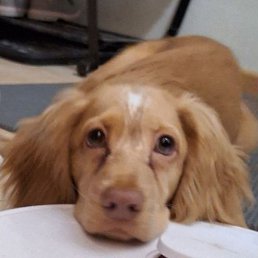 ����, ������, 21 ���