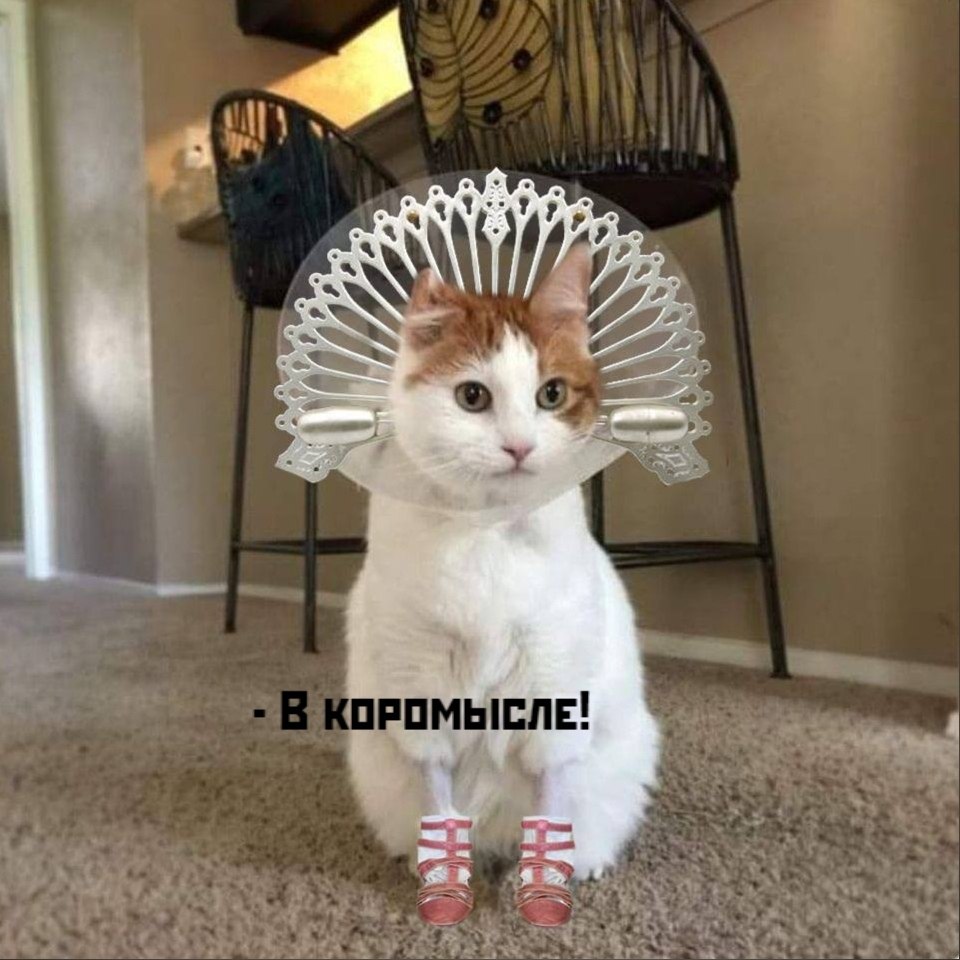       - 16  2025  12:17 - 4