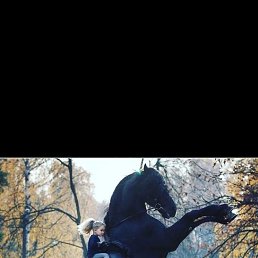 ���� �����, ������, 40 ��� - ��������� 30 ������� 2023