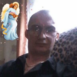 , 43, 