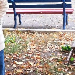 �����, ��������, 64 ����