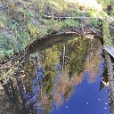 ���� ������, ������, 38 ��� - ��������� 3 ����� 2026