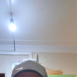 ����, 44 ����, ��������