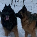 ���� Sergey, �������, 46 ��� - ��������� 29 ������ 2024