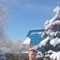 ���������, ���������, 41 ���