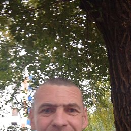 , 51, 