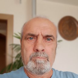 , 56, 