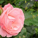  , -, 67  -  28  2023    