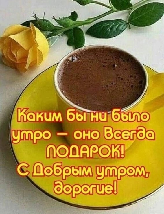   ,    . - 14  2025  07:11