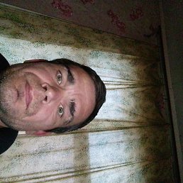 ����, ������, 40 ���