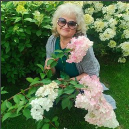 ������, ������������