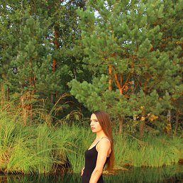 ���� ����, ����� - ��������� 7 ������� 2026