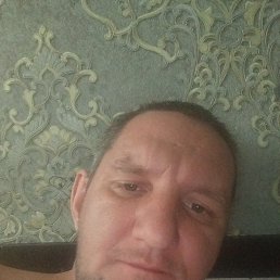 , 40 ,  