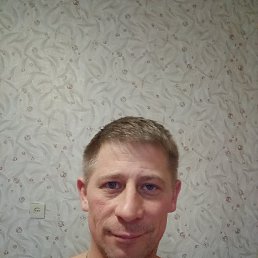 ����������, 40 ���, �����-���������