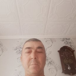 , 48, 