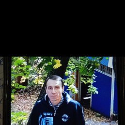 �������, 50 ���, ������